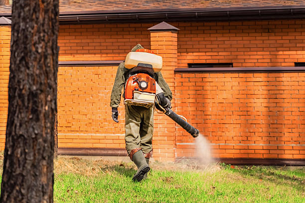 Trusted Cockroach Control service in Wildwood, TN - Nex Pest Control